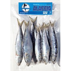 AQS COBIA JIG 10GR