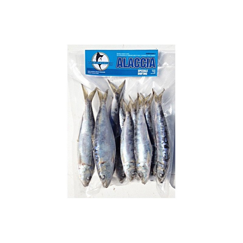 ESCA ALACCIA TECNOESCA