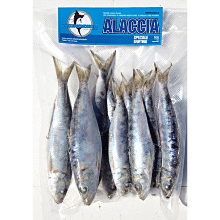 ESCA ALACCIA TECNOESCA