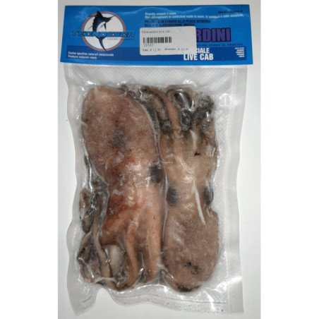 ESCA MOSCARDINI LIVE KAB TECNOESCA