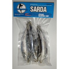 ESCA SARDA TECNOESCA