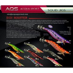 AQS EGI MASTER MIS 3,0