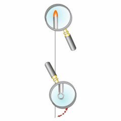 ELANCO COLLARE ANTIPARASSITARIO SERESTO PER CANI FINO A 8KG