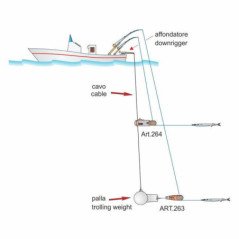 TUBERTINI SQUID SNAP PER TATAKI