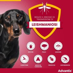 ELANCO ADVANTIX DA 25KG A 40KG ANTIPARASSITARIO PER CANI