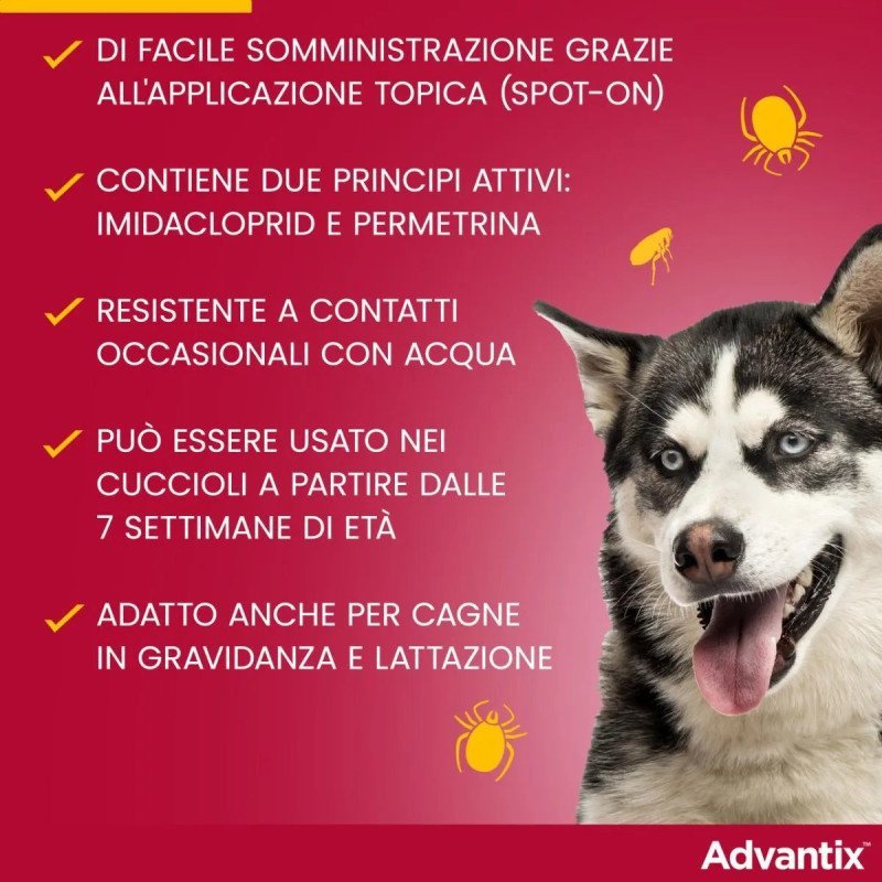 ELANCO ADVANTIX FINO A 4KG ANTIPARASSITARIO PER CANI