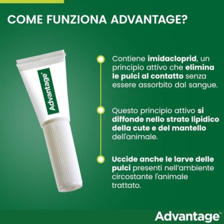 ELANCO ADVANTAGE PER GATTI E CONIGLI INFERIORE DI 4KG