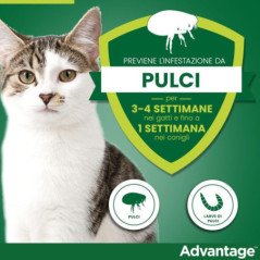 ELANCO ADVANTAGE PER GATTI E CONIGLI INFERIORE DI 4KG