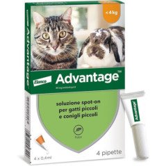 ELANCO ADVANTAGE PER GATTI E CONIGLI INFERIORE DI 4KG