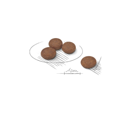 ROYAL CANIN MINI DIGESTIVE CARE 1KG