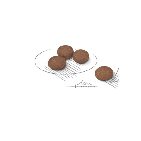 ROYAL CANIN MINI DIGESTIVE CARE 1KG