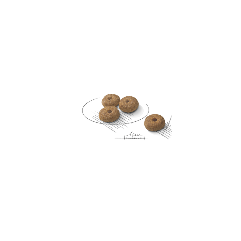 ROYAL CANIN MINI STERILISED 1KG