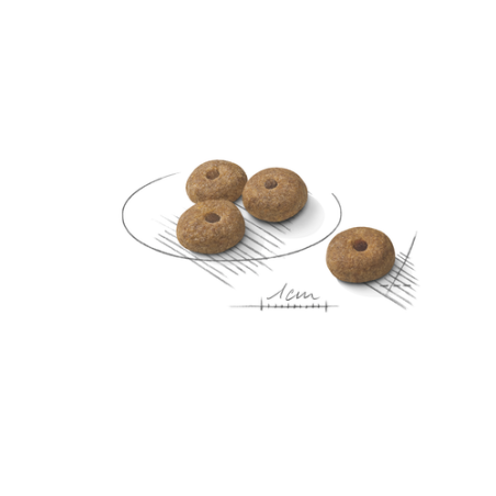 ROYAL CANIN MINI STERILISED 1KG