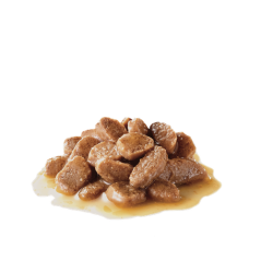 ROYAL CANIN MINI ADULT 85GR