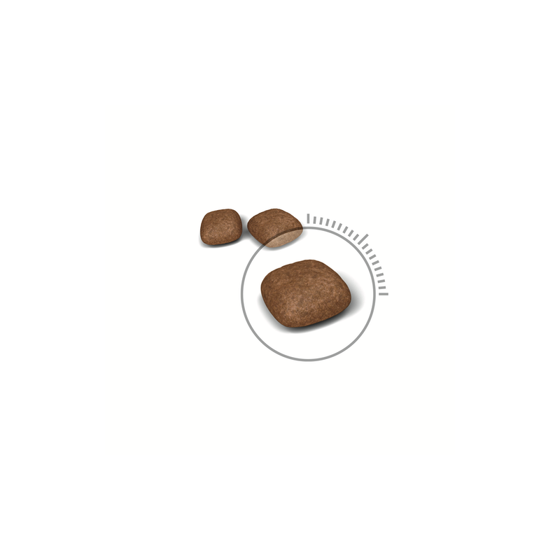 ROYAL CANIN GATTO CARE URINARY