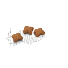 ROYAL CANIN KITTEN STERILISED CROCCHETTE GATTINI