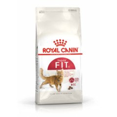 ROYAL CANIN GATTO CROCCANTINI REGULAR FIT 32