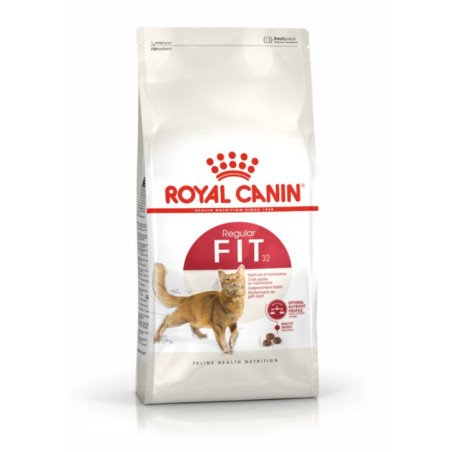 ROYAL CANIN GATTO CROCCANTINI REGULAR FIT 32