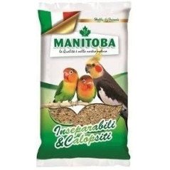 MANITOBA MISCUGLIO PARROCCHETTI