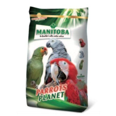 SHIMANO MONOFILO EXAGE 1000MT