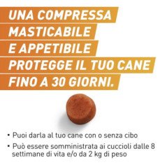 FRONTPRO 3 COMPRESSE MASTICABILI PER CANI 2-4KG