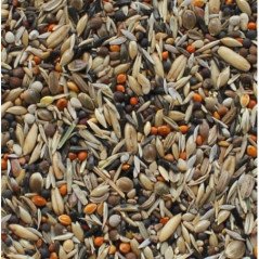 MANITOBA BEST CONDITION 2.5KG