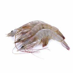 GAMBERI MAZZANCOLLA ECUADOR 60/70 1.8KG