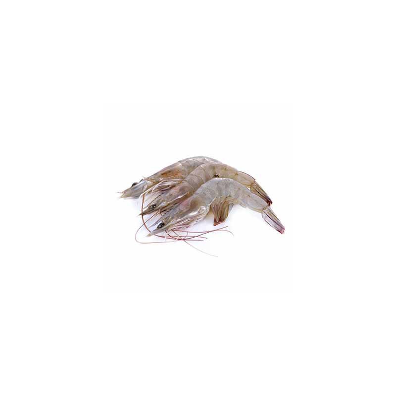GAMBERI MAZZANCOLLA ECUADOR 60/70 1.8KG