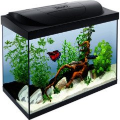 TETRA ACQUARIO STARTER LINE LED NERO 80 LITRI