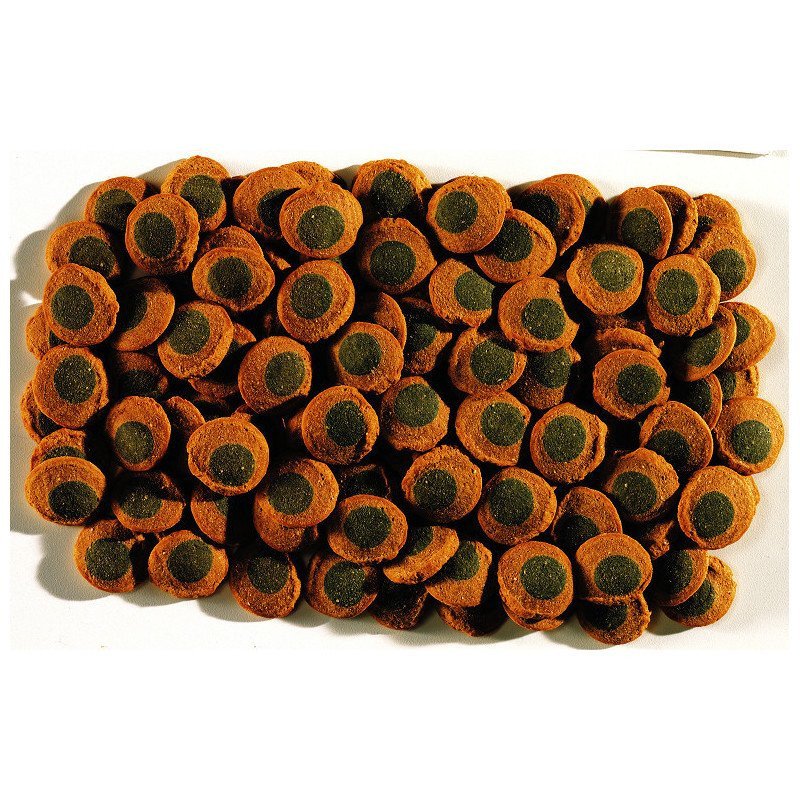 TETRA PLECO SPIRULINA WAFERS 250ML