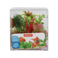 ZOLUX DECORAZIONE MIX 6 PIANTE IN BOX MOD 1