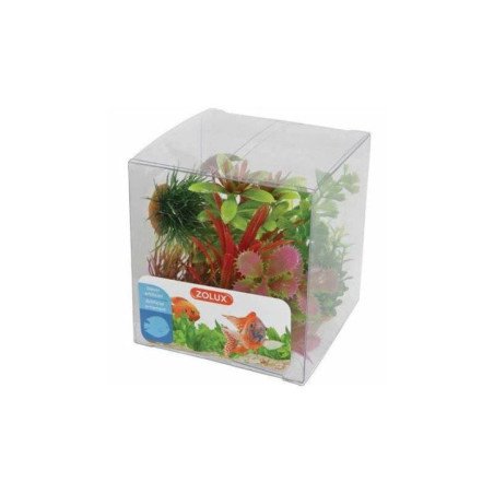 ZOLUX DECORAZIONE MIX 6 PIANTE IN BOX MOD 1