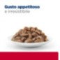 HILL'S GATTO UMIDO URINARY CARE C/D MULTICARE STRESS SALMONE 85GR