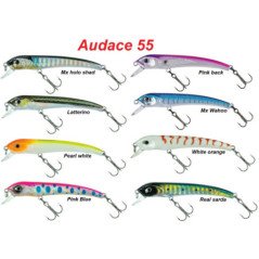 MOLIX AUDACE 55 SINKING