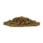 FORZA10 MEDIUM ADULT MONODIET CAVALLO E PISELLI 11-35KG
