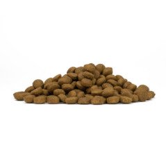 FORZA10 MEDIUM ADULT MAINTENANCE POLLO CON PATATE 11-35 KG