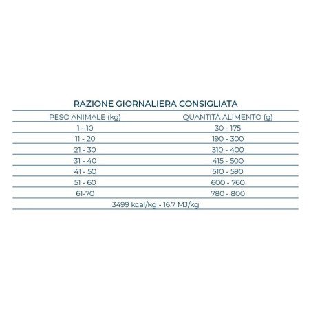 PORTACHIAVI A PROIETTILE CAL.45