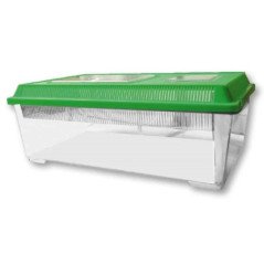 AMTRA BOXLIFE FLAT LARGE CONTENITORE IN PLASTICA PER PESCI