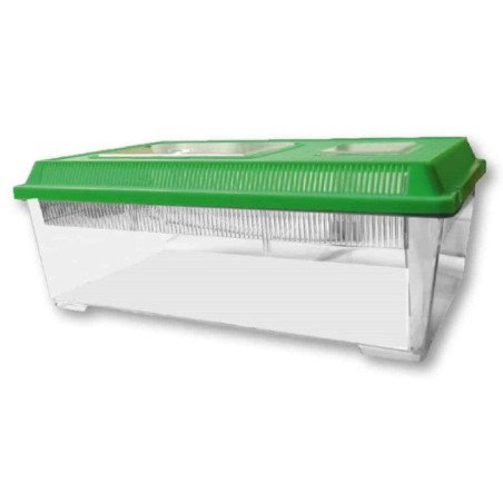 AMTRA BOXLIFE FLAT LARGE CONTENITORE IN PLASTICA PER PESCI