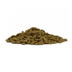 FORZA10 ALL SIZE ADULT MONODIET VEGETAL 1-70KG