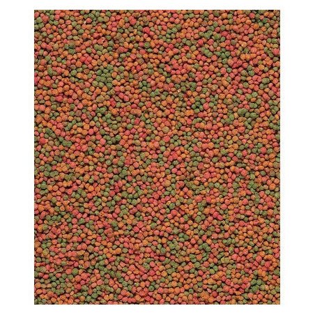 PROSTER BUSSOLA SOLDAT FLUORESCENTE