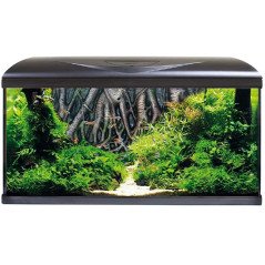 AQUARIO AMTRA SYSTEM 80 LED COMPLETO