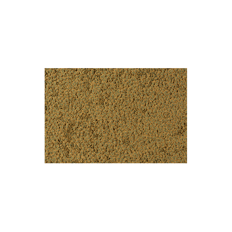 TETRA PLECO VEGGIE WAFERS 100ML