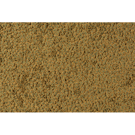 TETRA PLECO VEGGIE WAFERS 100ML