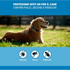 FRONTLINE SPOT ON CANI 10-20KG 3 PIPETTE