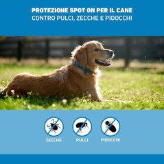 FRONTLINE SPOT ON CANI 20-40KG 3 PIPETTE