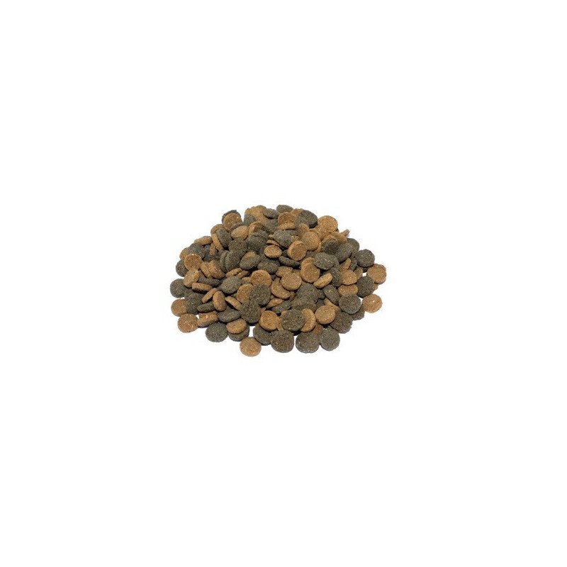 PRODAC ALGAE WAFERS MINI PESCI TROPICALI 50GR