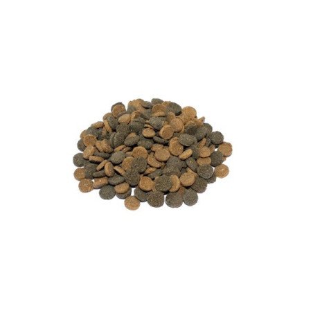 PRODAC ALGAE WAFERS MINI PESCI TROPICALI 50GR