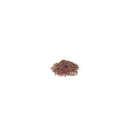 PRODAC BLOODWORMS CHIRONOMUS