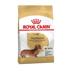ROYAL CANIN ADULT DACHSHUND 500GR